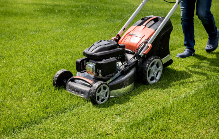 Commercial landscaping in Canberra with a well-maintained green lawn