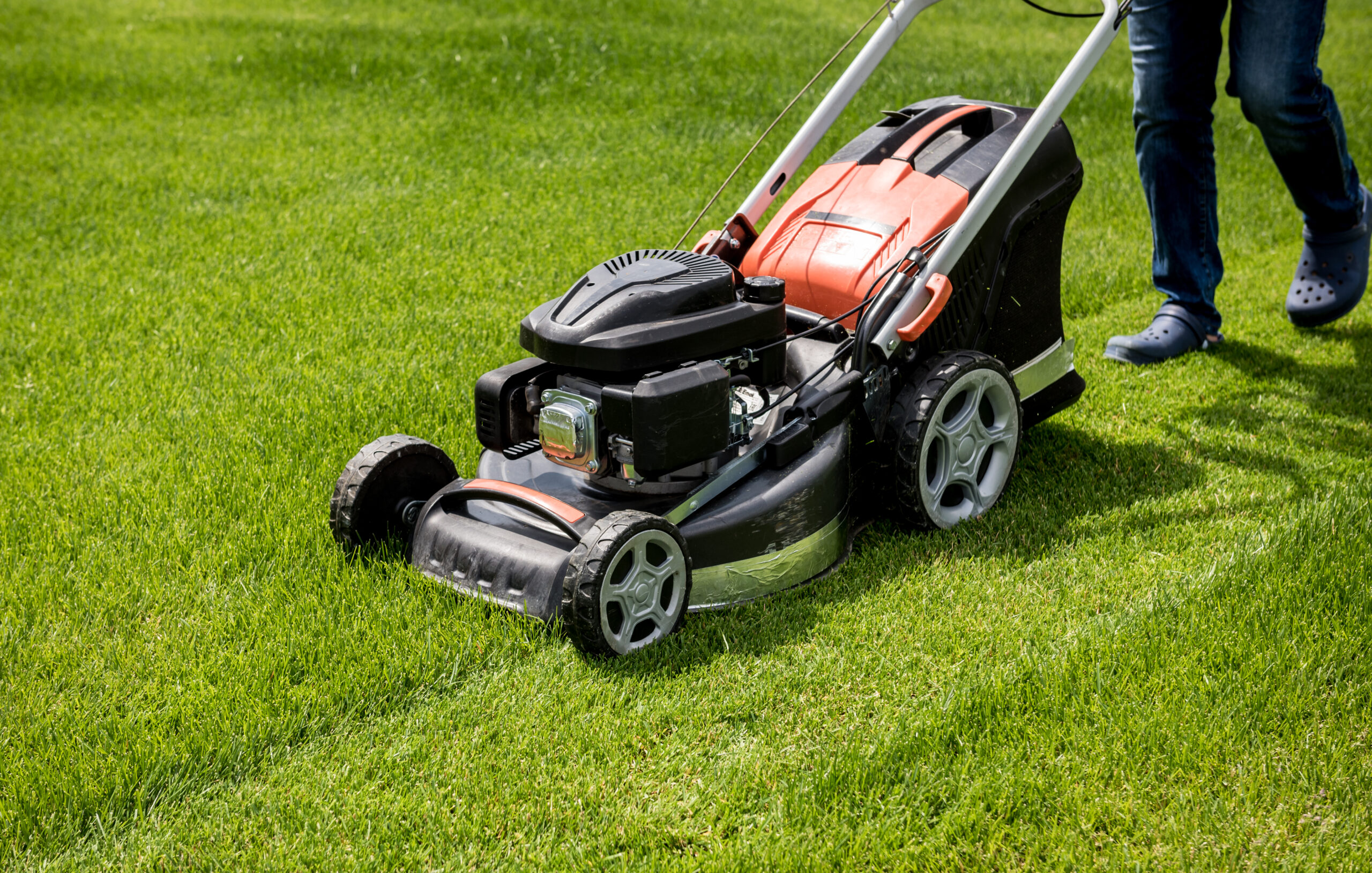 Commercial landscaping in Canberra with a well-maintained green lawn