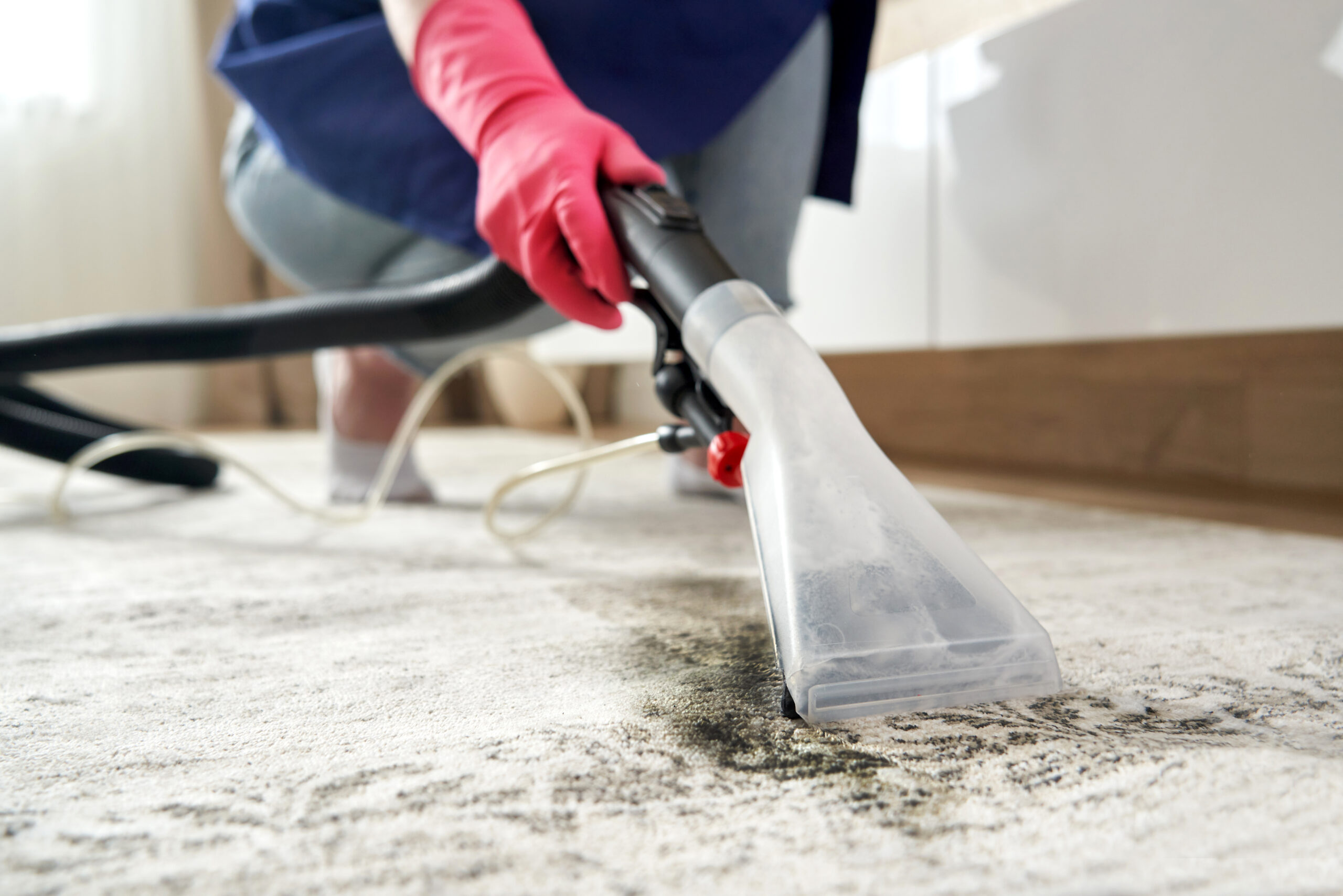 Professional office stain removal on carpet using cleaning equipment