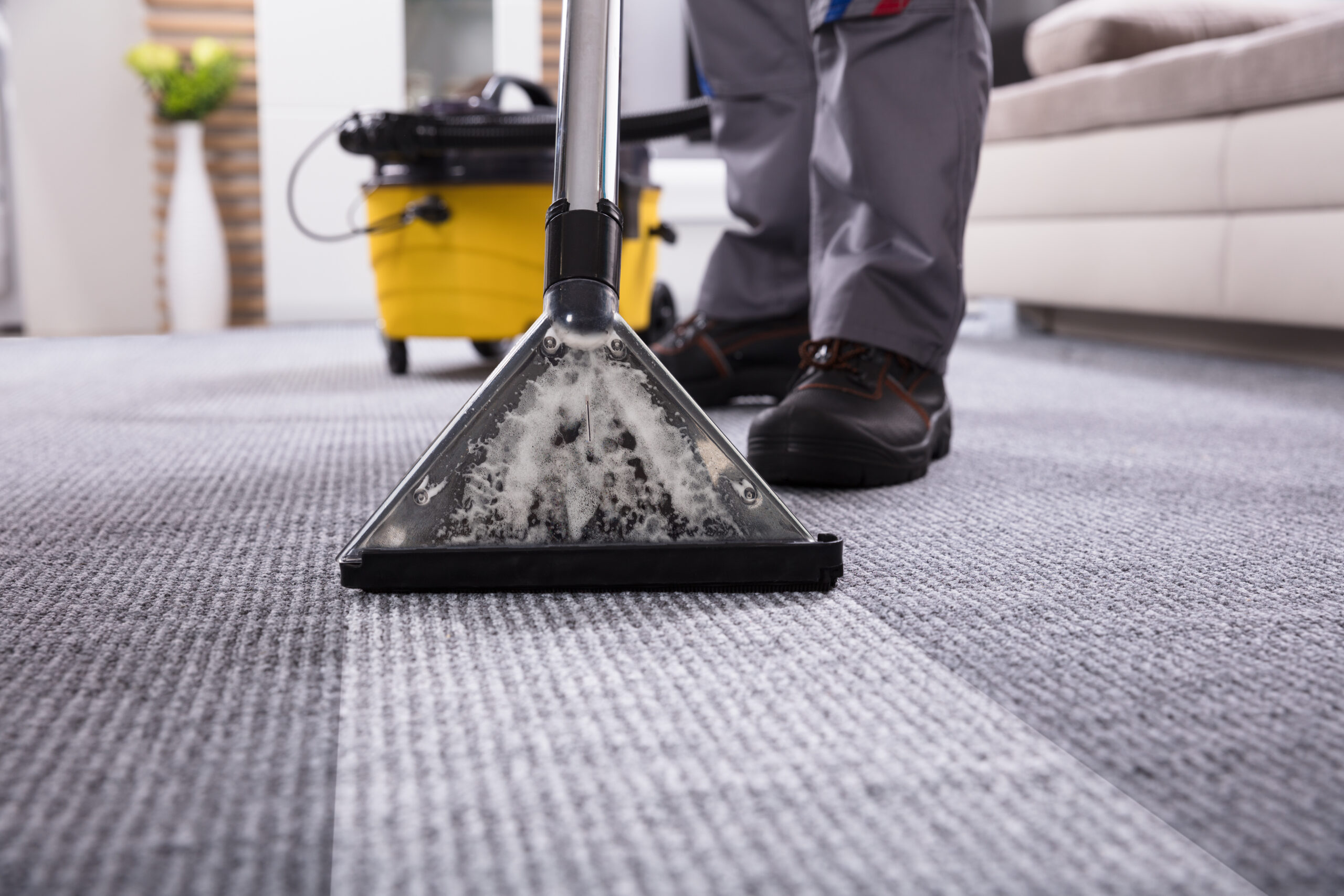 Commercial extraction unit deep cleaning retail carpet to extend the lifespan of the flooring