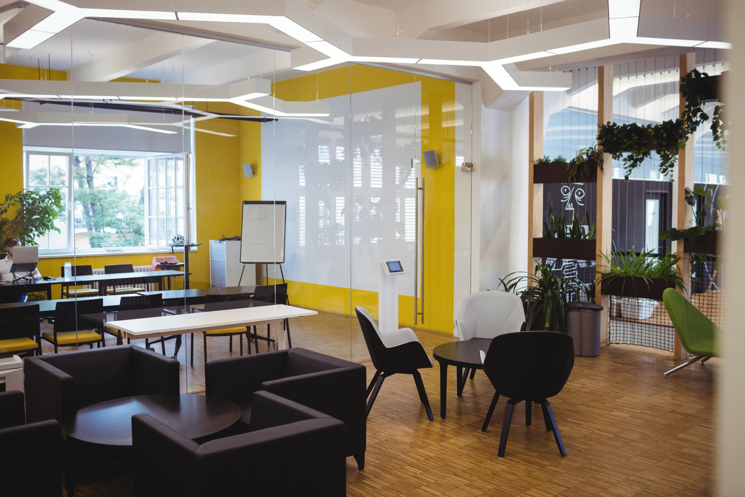 Bright, clean and healthy office interior with good air quality