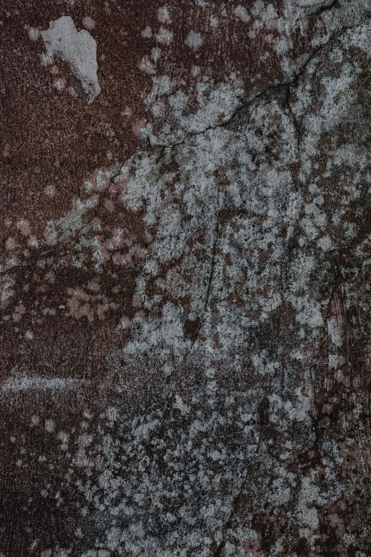 A weathered wall surface with mould staining, showing why surface cleaning fails